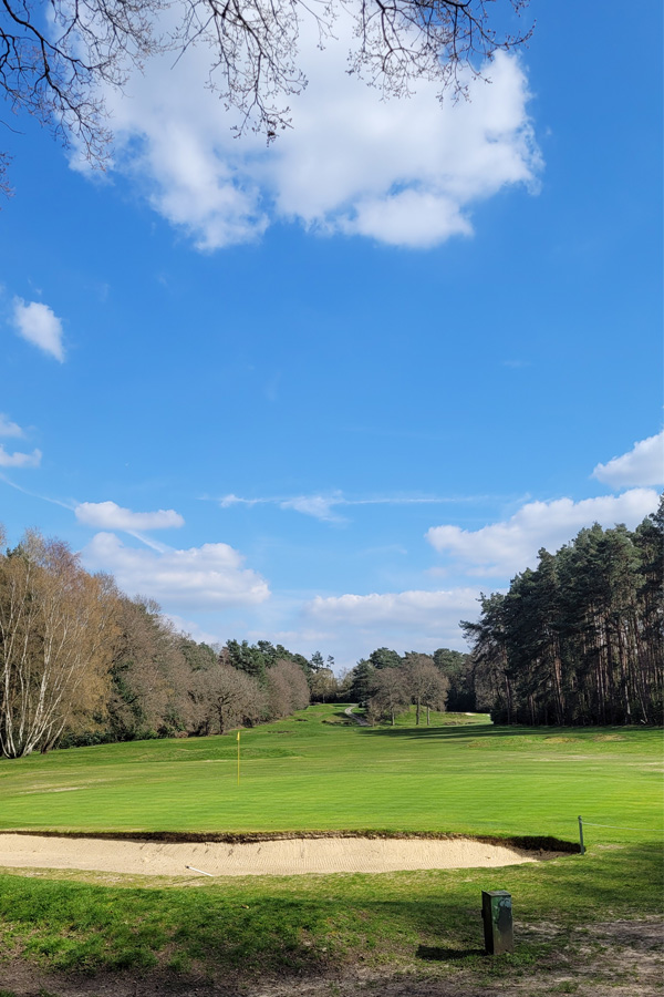 Sunningdale Heath