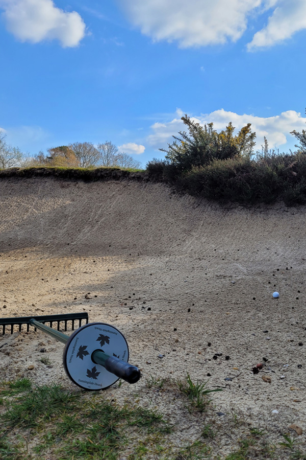 Sunningdale Heath