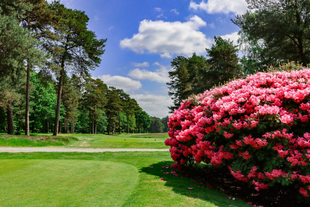 Edinburgh 10th Hole