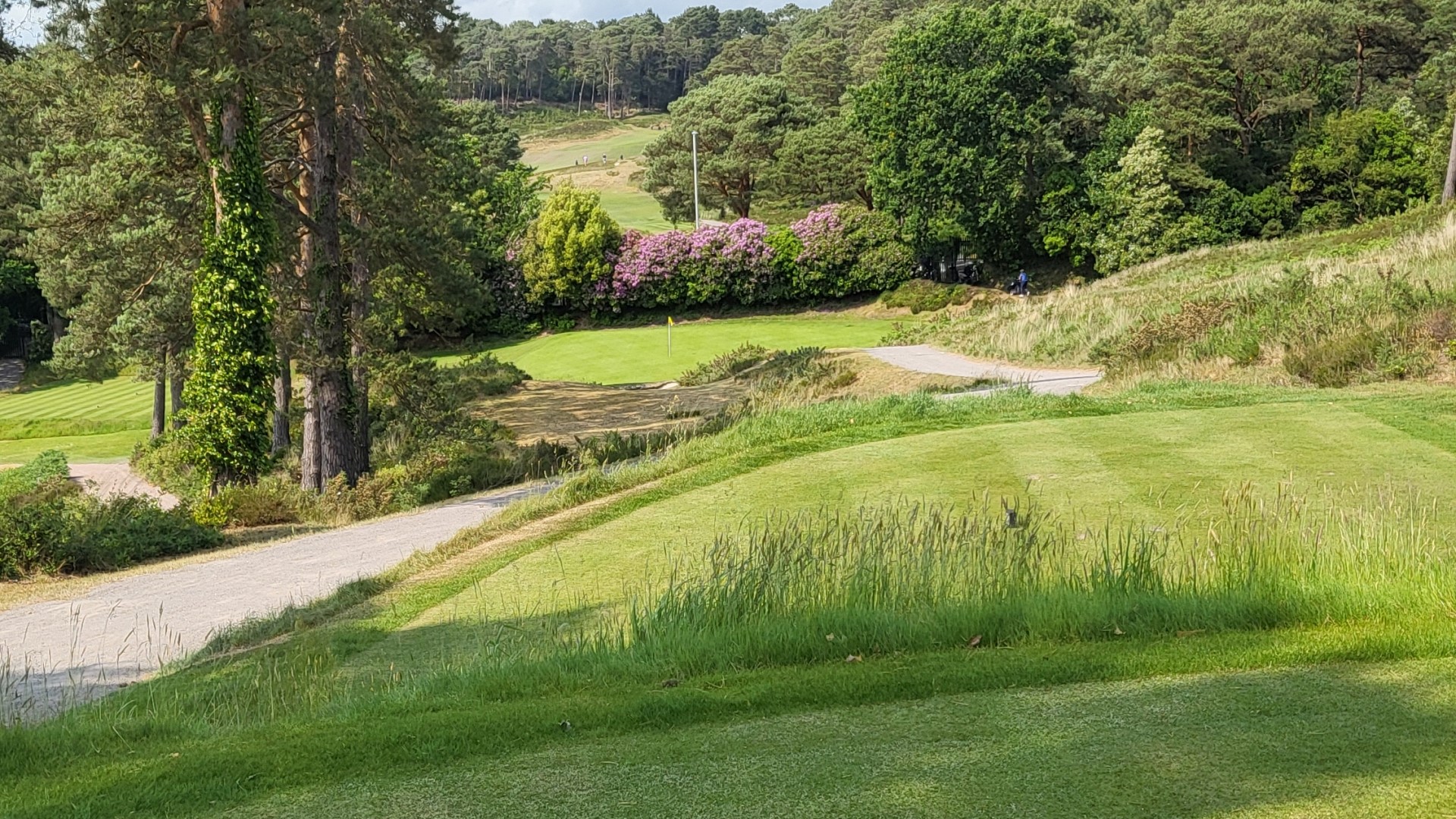 Parkstone Golf Club 16th hole