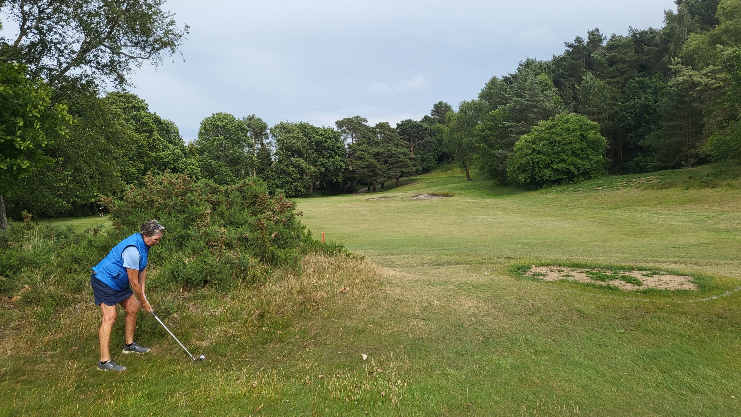 Knighton Heath Golf Club 13th fairway and approach to hole
